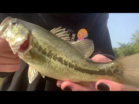 Femboy Fishing - GOTH FEMBOY FISHING?!