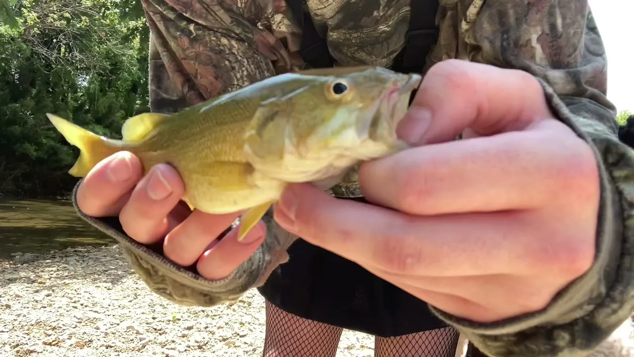 Femboy Fishing - The FLY FISHING Episode