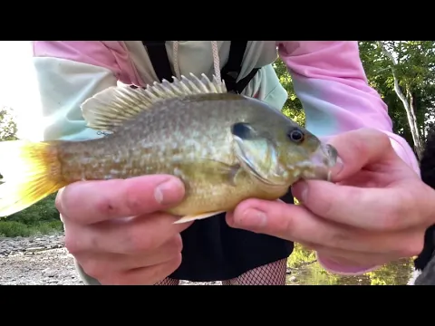 Femboy Fishing - Catching a FISH?!! (Not Clickbait!!)