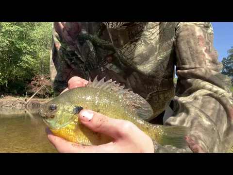 Femboy Fishing - The Sunfish is DUMMY THICC