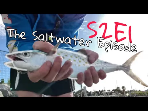 Femboy Fishing - The SALTWATER EPISODE