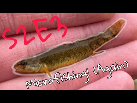 Femboy Fishing - MICROFISHING?!! (again)