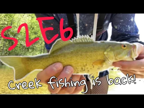 Femboy Fishing - Creek Fishing is BACK