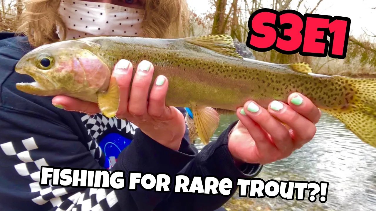 Femboy Fishing - Fishing for the RAREST trout in the Midwest!